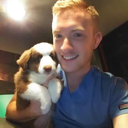 Miniature American Shepherd Puppies from Fruition Farms