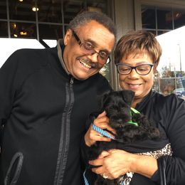 Miniature Schnauzer Puppies from Daniels Mini Schnauzers