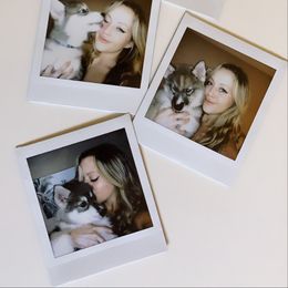 Siberian Husky Puppies from SoFlo Siberians