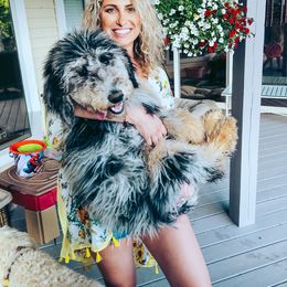 Newfoundland All Grown Up from KelleyDoodles