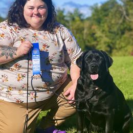 Labrador Retrievers from GreenWave Labradors