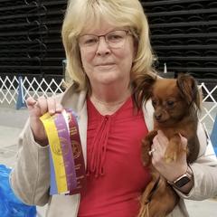 Cinnamon - Russian Toy