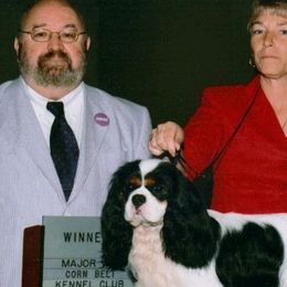 Biewer Terriers and Cavalier King Charles Spaniels from Woo Hoo Biewers & Inkahoots Cavaliers