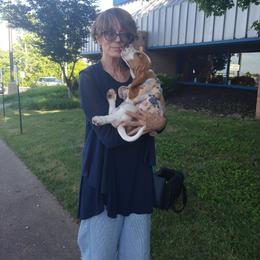 Basset Hound Puppies from Redbud Ranch Basset Hounds