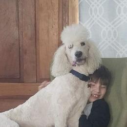 Trigger - Poodle