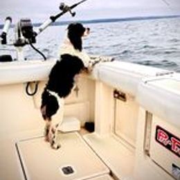 "Ally fishing" English Springer Spaniel Puppies from Ledge N' Tree English Springer Spaniels