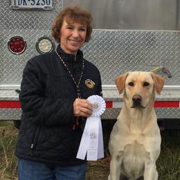 Labrador Retriever All Grown Up from Woodsmoke Kennels