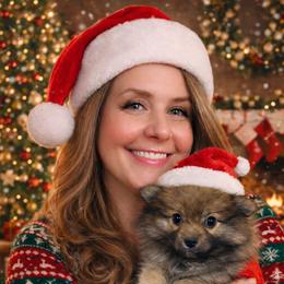 Rambo - Beaver sable male Pomeranian puppy in San Jacinto, California from Savvypomeranians