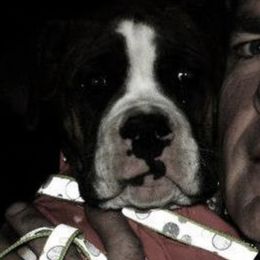 Neapolitan Mastiffs from Mastiffs with Manners