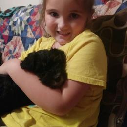 Miniature Schnauzer Puppies from Starbound Miniture Schnauzer's