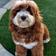 Bruno