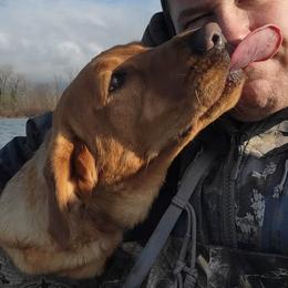 Labrador Retrievers from Top Shot Retrievers