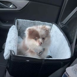 Pomeranian puppies from Mother of Poms