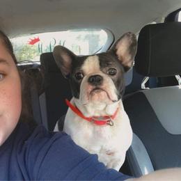 French Bulldog Puppies from Fancy Face Frenchies