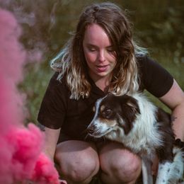 Border Collie Puppies from Cullins Collies