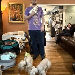 Miniature Schnauzer Puppies from Smilee Schnauzers