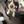 Unnamed