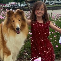 Collie puppies from Sweetgrass Collies
