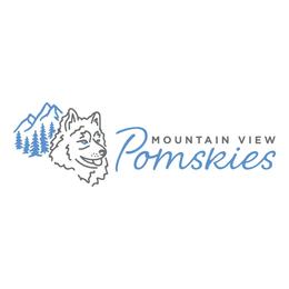 Pomsky puppies from Mountain View Pomskies