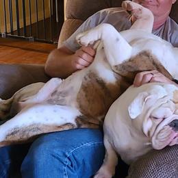 Bulldog Puppies from Pappy's Bullies