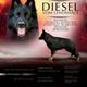 Diesel