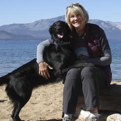 Flat-Coated Retrievers from Chantal Kennel FCR's raised by Josie LeBalch