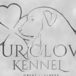 Great Pyrenees from Four Clover Kennel