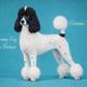 Tommy Kay