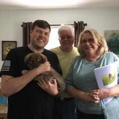 Tibetan Spaniel Puppies from Tina-Rie Tibetan Spaniels