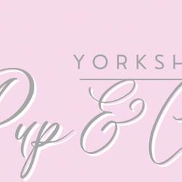 Poodles, Shih Tzus, Shorkies, Yorkipoos, and Yorkshire Terriers from YorkShih Pup & Co