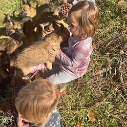 Belgian Laekenois Puppies from Cal Curly Coats Belgian Laekenois