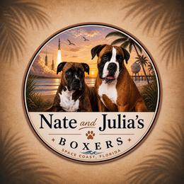 Boxers from Nate & Julia’s Boxers