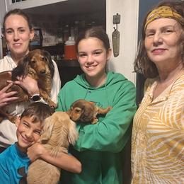 Dachshund Puppies from Green Acres Dachshunds
