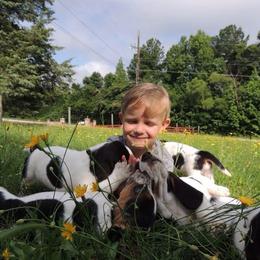 Basset Hound Puppies from Janzen Family Bassets
