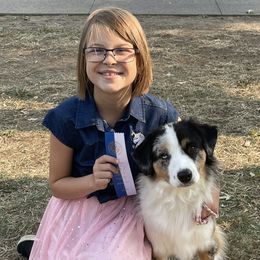 Lucee - Miniature American Shepherd