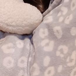 Kit Kat - Dachshund