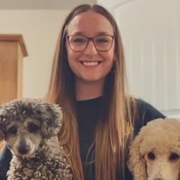 Cockapoos, Cocker Spaniels, and Poodles from Strawberry Hill Puppy Patch