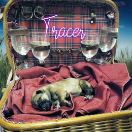 German Shepherd Puppies from Shepherd's Watch