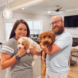 Dune - Parti male Goldendoodle puppy in Ooltewah, Tennessee from Allison Family Doodles