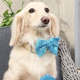 Cavalier King Charles Spaniels and Dachshunds from Irresistible Dachshunds & Cavalier King Charles Spaniel