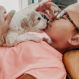 Sheepadoodle Puppies from DOODCompany