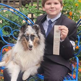Honeychild - Shetland Sheepdog