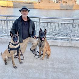 Belgian Malinois Puppies from Morning Star Malinois