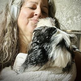 Bearded Collie and Border Collie Puppies from Beloved Bearded & Border Collies