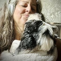 Bearded Collie and Border Collie Puppies from Beloved Bearded & Border Collies
