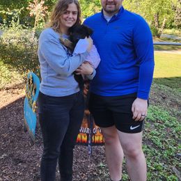 German Shepherd Puppies from Von Hoene Heritage Shepherds