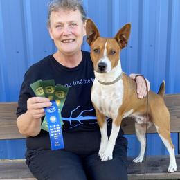 Rat Terriers from Susan Turner
