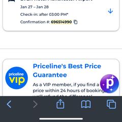 Bouvier des Flandres Puppies from SLR Kennels