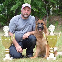 German Shepherds from Vom Kiramar German Shepherds