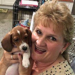 Dachshunds from Denver's Golden Dashies